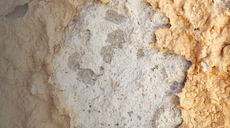 Why choose water damage restoration service for emergency flood repair in Bessemer